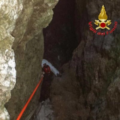 Il recupero dei cani da parte dei VVFF