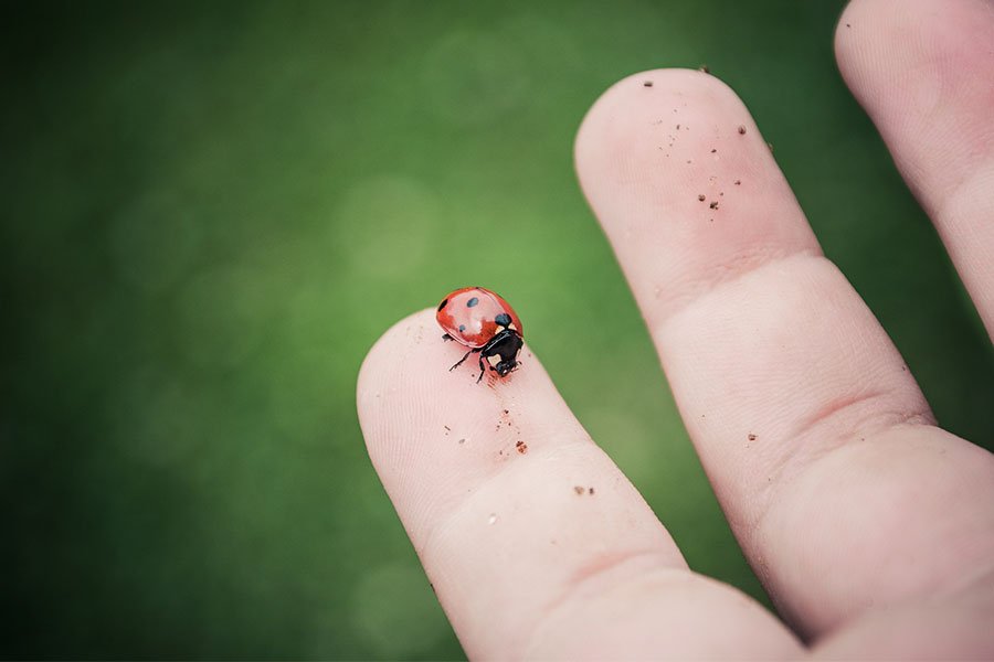 Comune: procedura di selezione per la scelta dei fornitori di servizi sociali di qualità