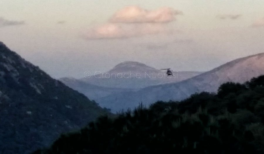 Allevatore travolto da una rotoballa durante le operazioni di carico trasportato in ospedale in codice rosso