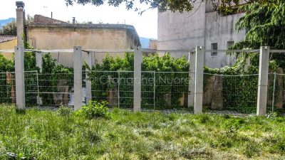 Un'immagine del 2015 con le opere di Sciola ricoperte dall'edera (foto S.Novellu)