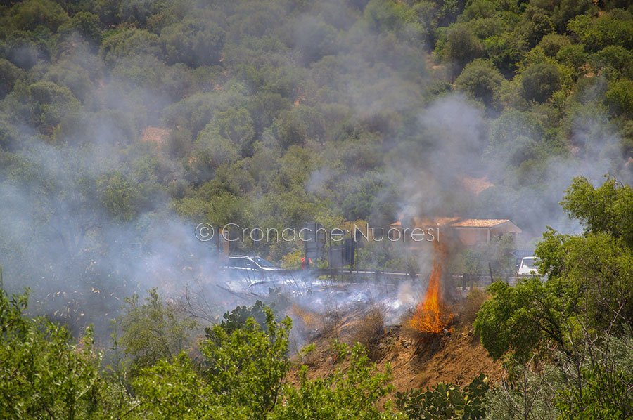 A fuoco nel pomeriggio le campagne intorno al bivio Oliena-Orgosolo