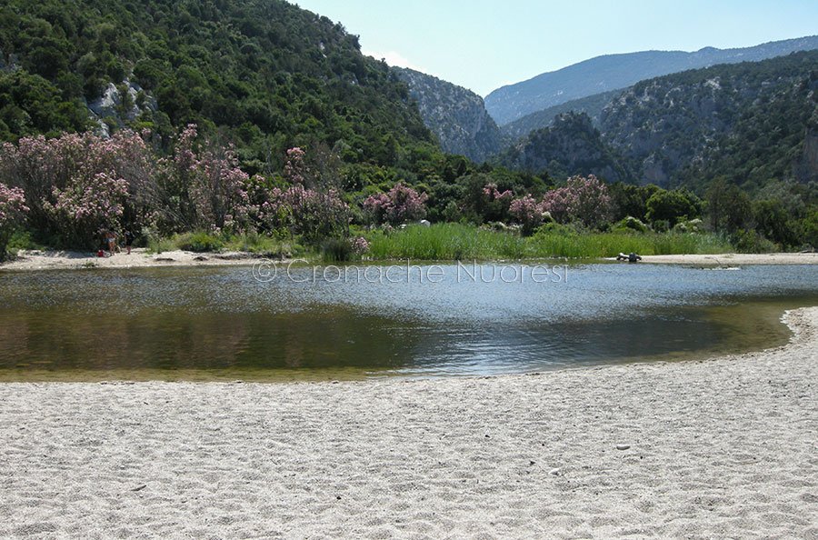 Cala Luna a numero chiuso? L’Opposizione insorge contro la decisione in”solitaria” della sindaca Testone