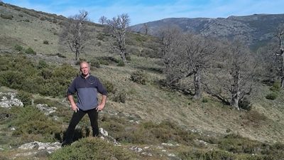 Tore Noli