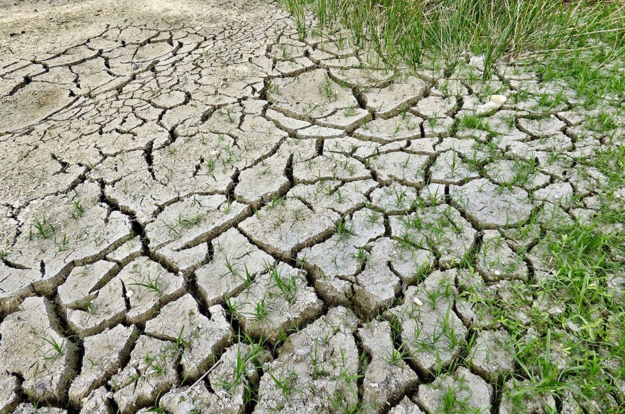 Siccità: in Giunta passa la richiesta di stato di calamità per tutta la Sardegna