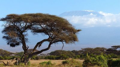 Un'immagine del Kenya
