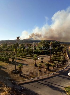 L'incendio in prossimità delle case a San Teodoro