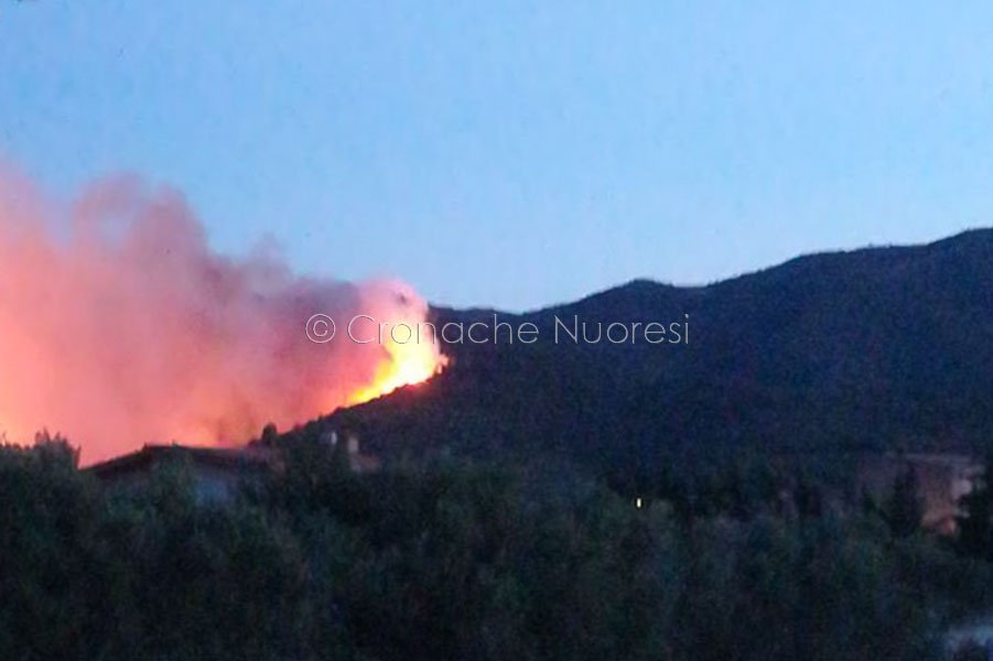 Allevatore rimane ferito mentre tenta di salvare il gregge nel vasto incendio scoppiato ieri notte a Torpè