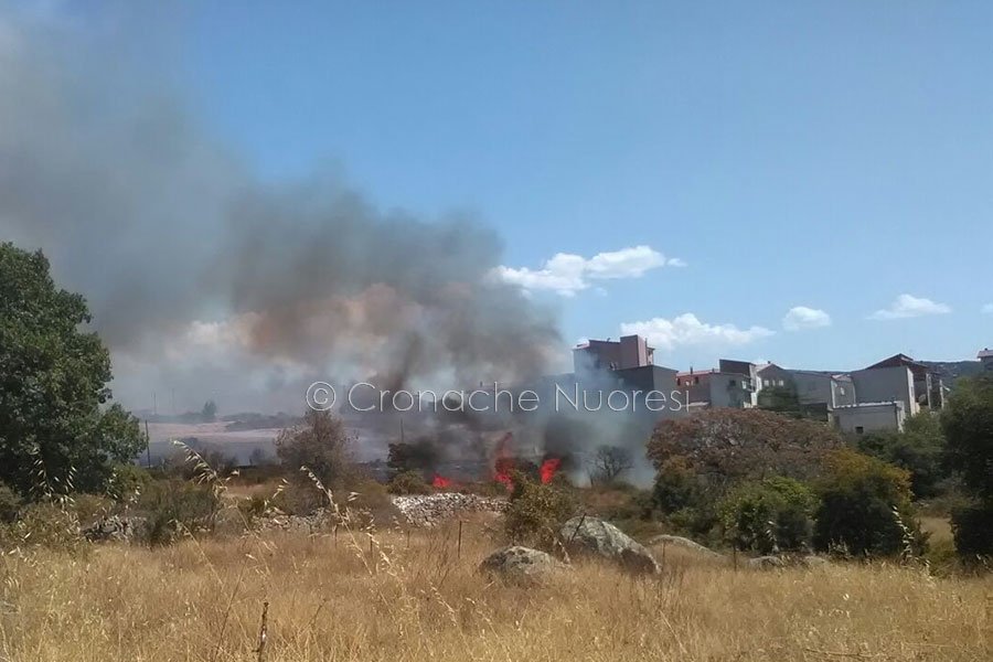 Ancora piromani in azione. Un vasto incendio minaccia le abitazioni Sarule: a rischio il Monte Gonare