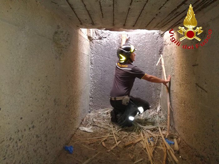 Si poggia a un parapetto e precipita in un canale profondo 2,5 metri: 81enne in ospedale