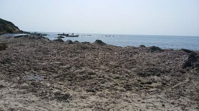 Dog Beach a Tertenia