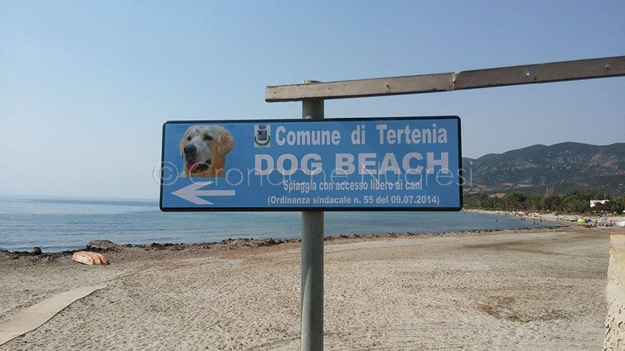 Dune di alghe e odore nauseabondo nella spiaggia dei cani abbandonata a se stessa