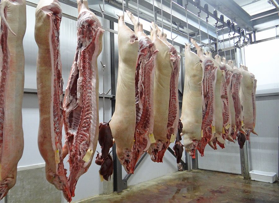 Regione: firmata la nuova ordinanza sugli scarti di macellazione