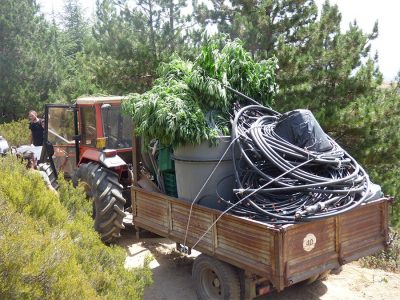 Tubi e contattori automatici sequestrati nella piantagione