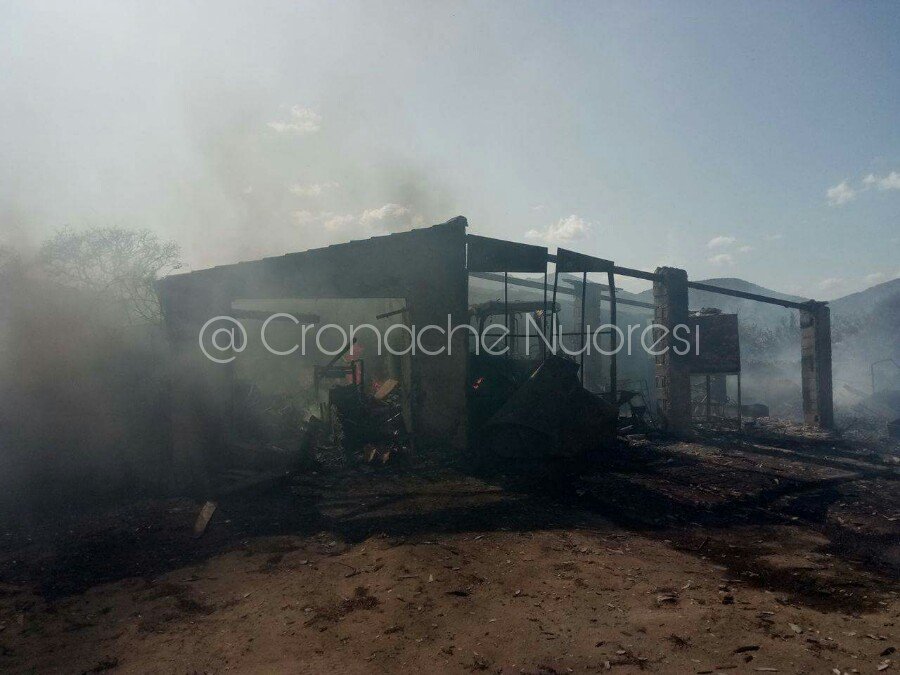 Incendio alle porte di San Teodoro: turisti in fuga dai villaggi e un capannone distrutto