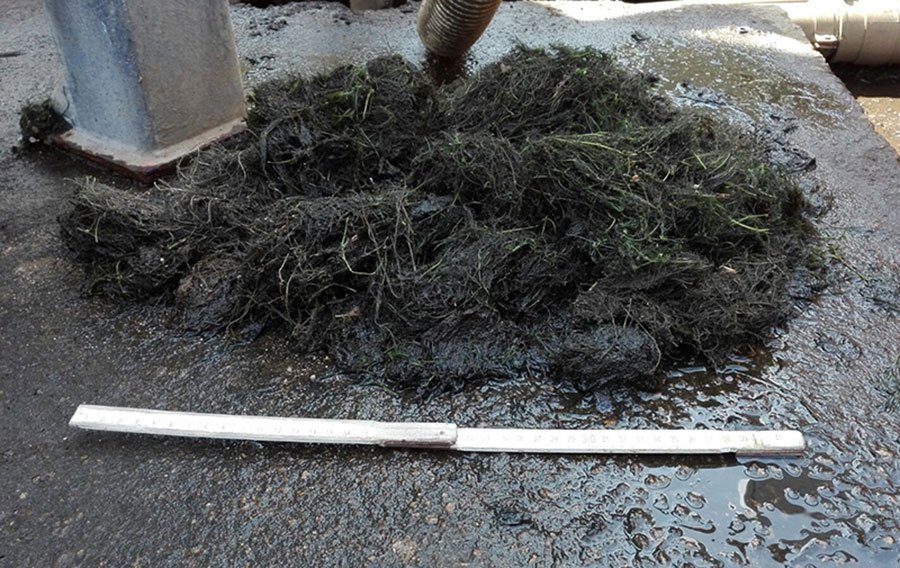 Budoni: potabilizzatori ripuliti dalle alghe provenienti dalla diga di Maccheronis