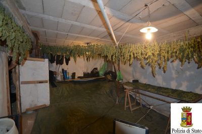 La marijuana posta a essiccare