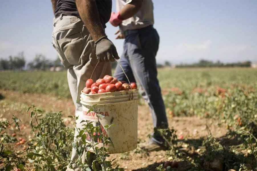 Onifai: il Comune cerca 4 braccianti agricoli e un operaio qualificato