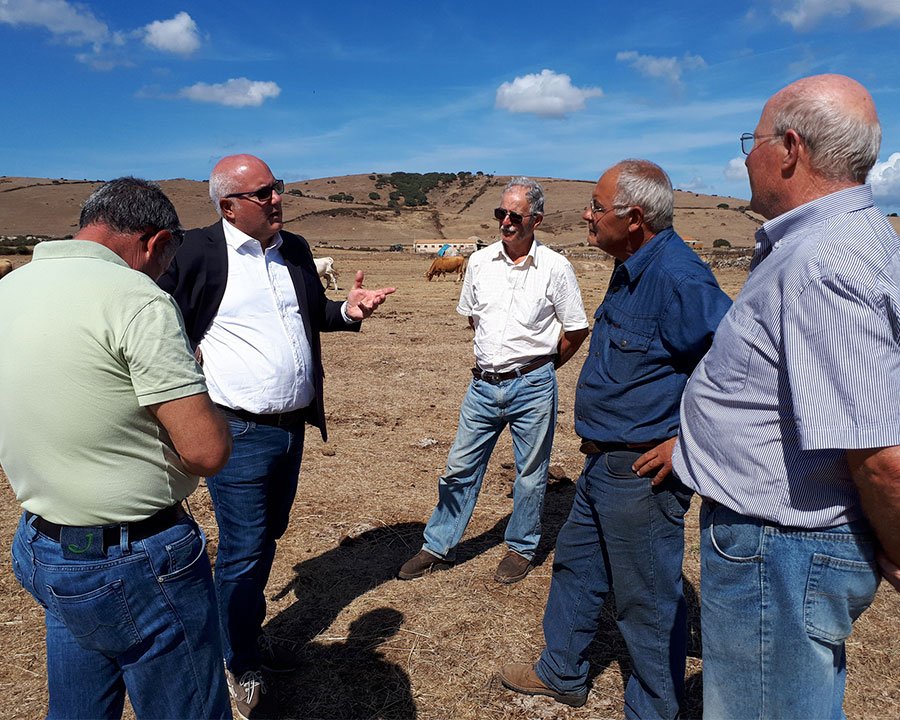 Regione. Caria annuncia: “pronti a comprare i vaccini di lingua blu”