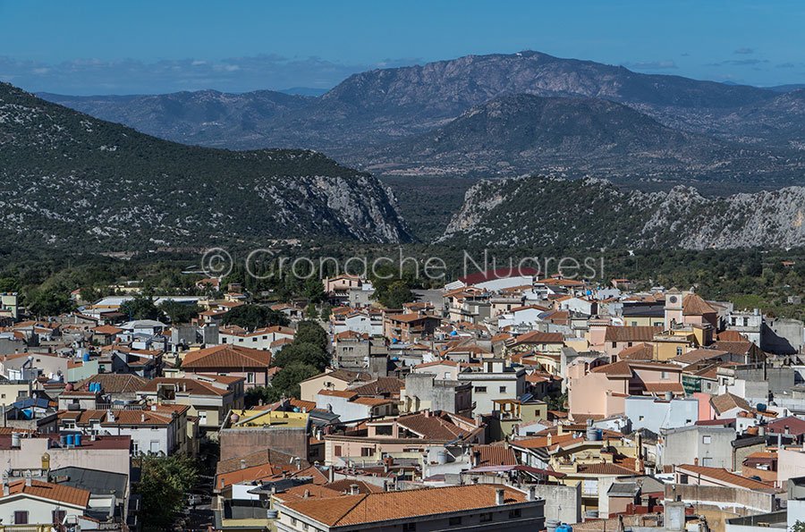 Cinema per bambini: oggi a Dorgali la proiezione del film “Il grande gigante gentile”