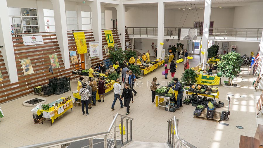 Insetti a tavola. Coldiretti Sardegna chiede trasparenza sulle importazioni