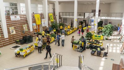 Nuoro, il mercato della Coldiretti all'Ex mercato civico (foto S.Novellu)