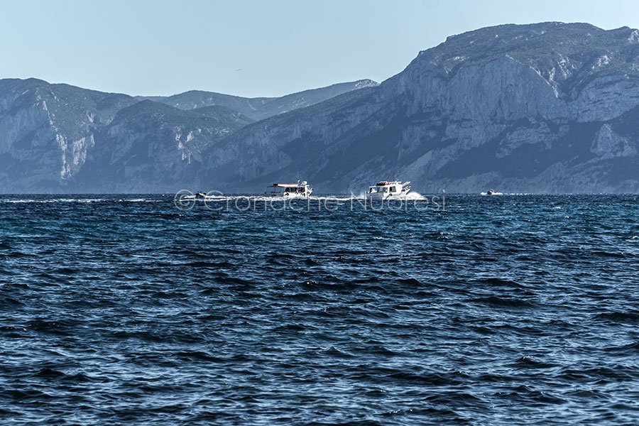 Gli operatori di Cala Gonone: “Prendiamo le distanze da qualsiasi forma di minaccia nei confronti della sindaca”