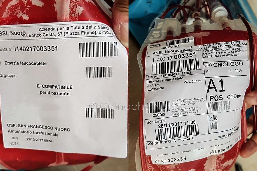 Emergenza sangue: d’estate a rischio interventi e trasfusioni. Un’interrogazione di Desirè Manca (M5s)