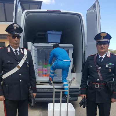 I campioni del DNA dei Sardi