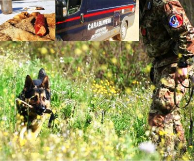 L'ordigno rinvenuto dai Carabinieri