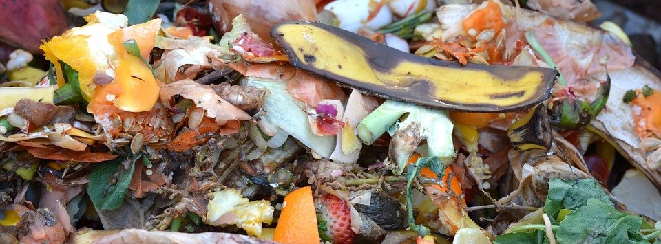Rifiuti biodegradabili: Oristano lascia Arborea per Nuoro