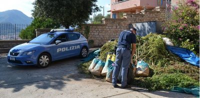 La marijuana sequestrata a Siniscola