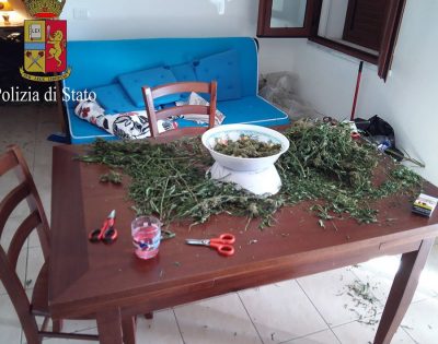 La Marijuana sequestrata dagli agenti