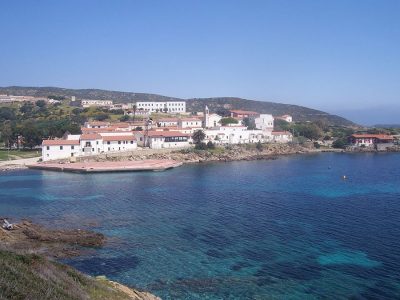 Asinara. Cala d'oliva