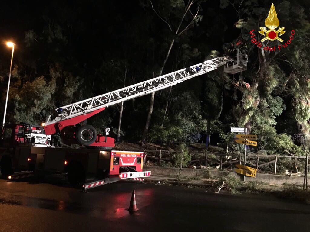 Nuoro. In tutta la città, alberi, insegne e cartelli stradali abbattuti dal maestrale