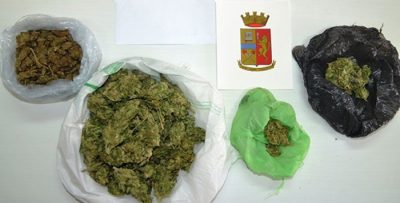 La marijuana sequestrata