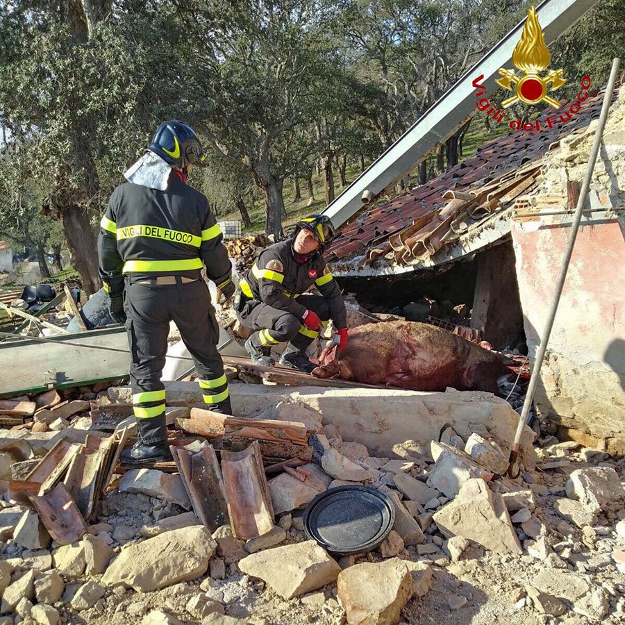 Attentato intimidatorio a Illorai. Violenta esplosione in una stalla: morti alcuni animali
