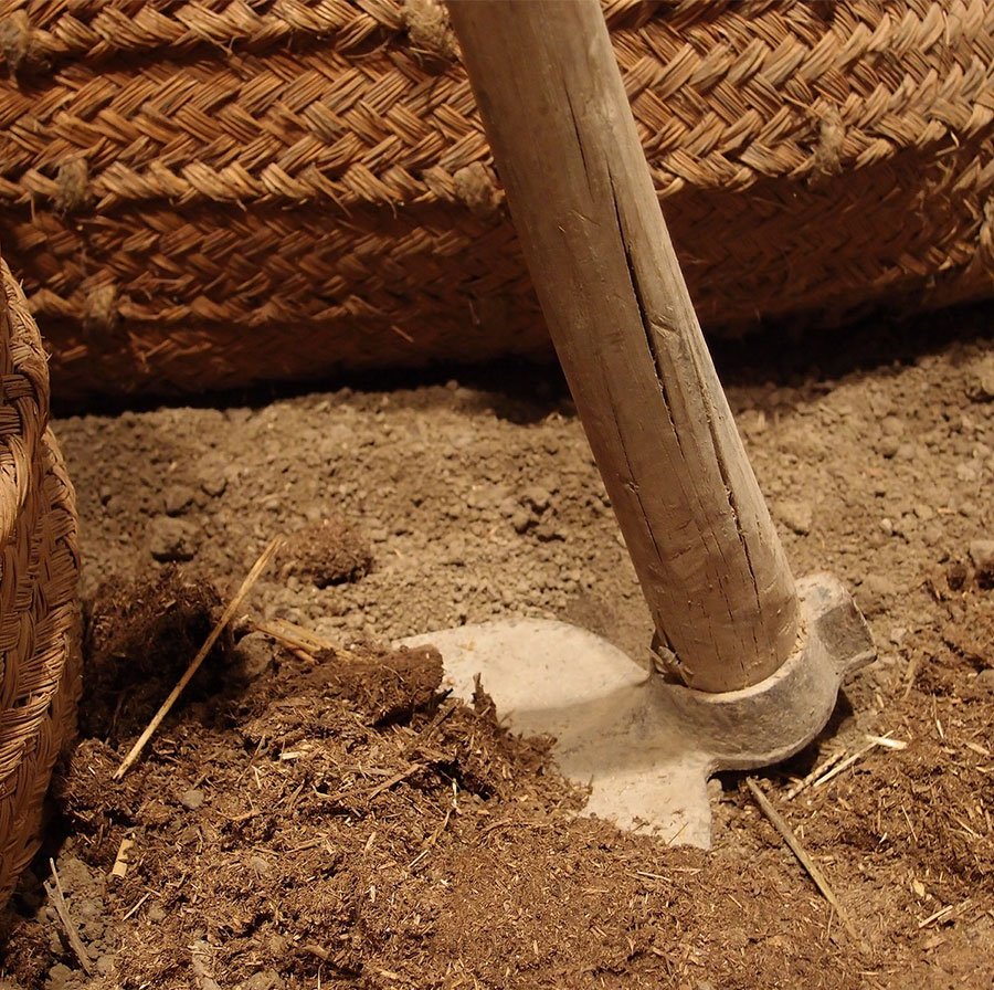 La via crucis burocratica dei giovani sardi che puntano sull’agricoltura
