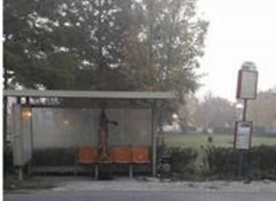 La fermata dell'autobus dove è stato trovato il lupo