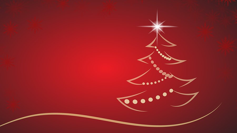 Incidenti domestici: l’albero di natale della ASSL di Nuoro per la prevenzione