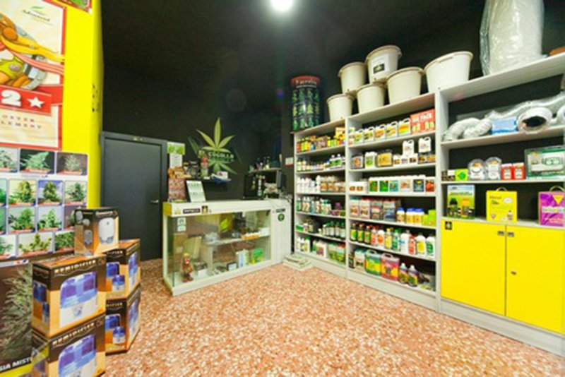 Cannabis legale, 15 negozi in Sardegna. Uno anche nel Nuorese