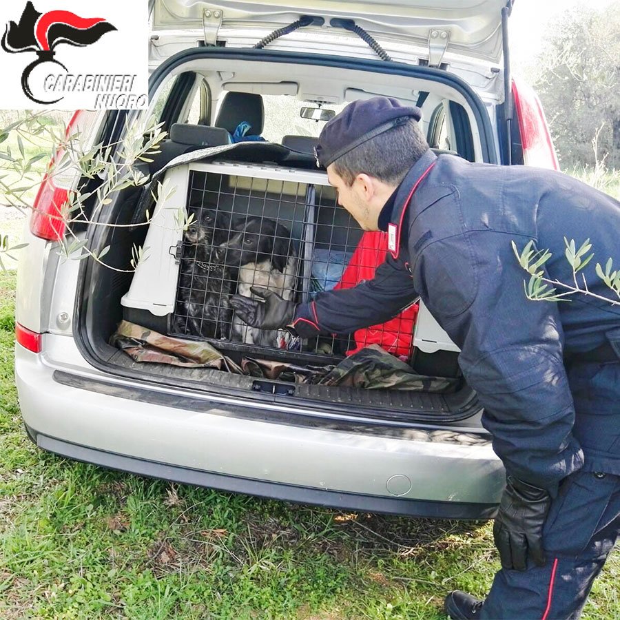 Ritrovata occultata nella vegetazione la Ford Focus dei tre cacciatori rapinati