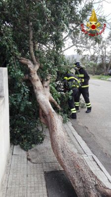Un intervento dei Vigili del Fuoco a Nuoro