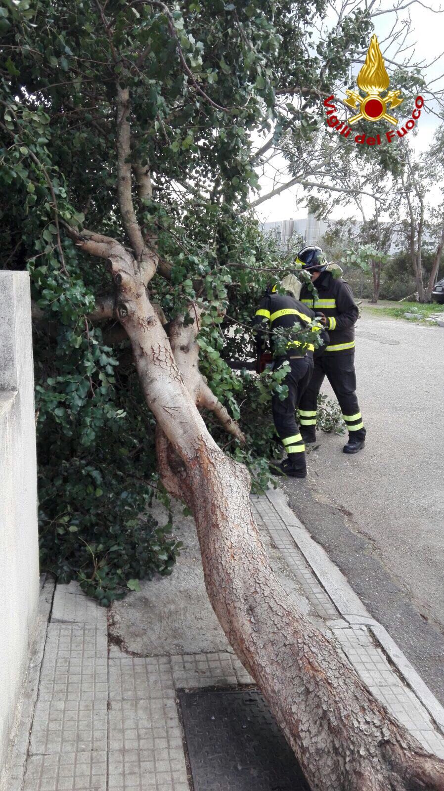 Ancora disagi per il vento di Maestrale. Previste per oggi raffiche oltre i 100 chilometri orari