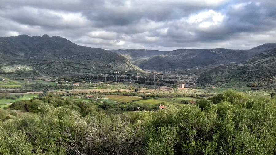 Bosa. Nasce l’associazione di impresa per la valorizzazione delle attività produttive