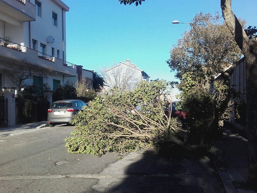 Vento a Nuoro. Ordinanza del sindaco: vietati i fuochi di Sant’Antonio