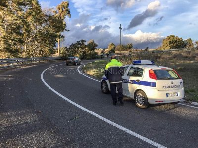 L'albero rovinato sulla carreggiata alle porte di Nuoro (foto S.Littarru)