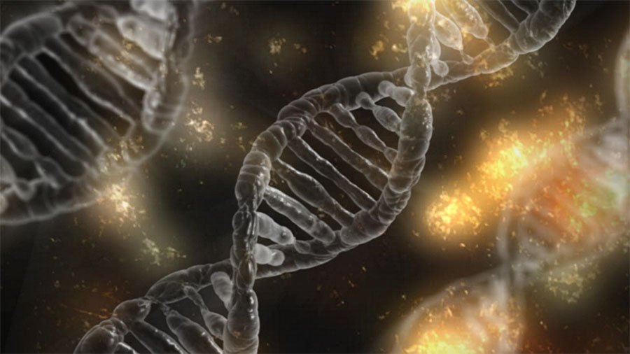 Il DNA dei sardi sarà studiato in casa: a Perdasdefogu l’annuncio di una fondazione