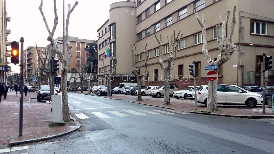 Capitozzatura. Comitato Salvaguardia Monte Ortobene: il capitolato dice altro