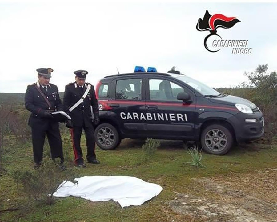Labrador ucciso a fucilate: preso l’autore, che ha confessato il fatto