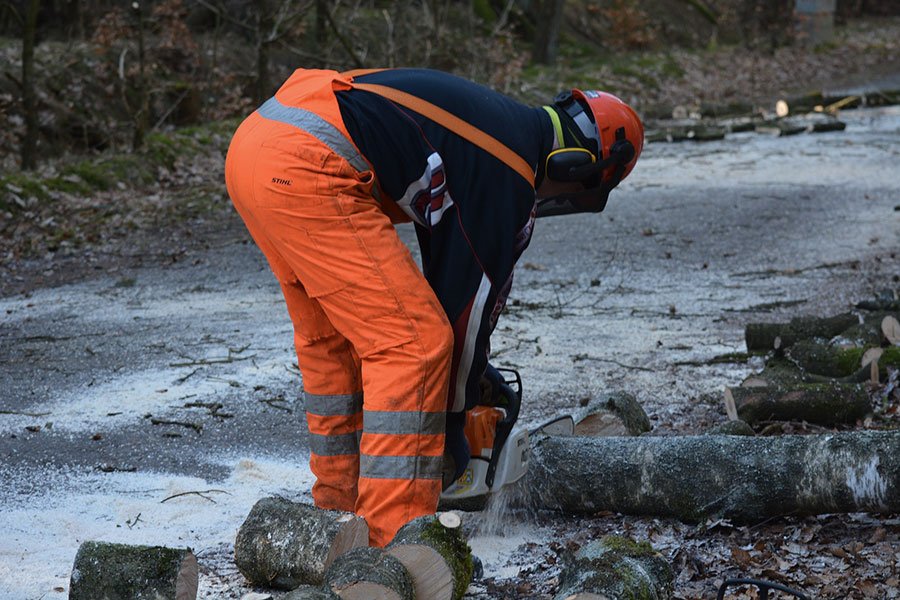 LavoRas: oltre 14mln di euro per cantieri occupazionali e lavoratori socialmente utili 